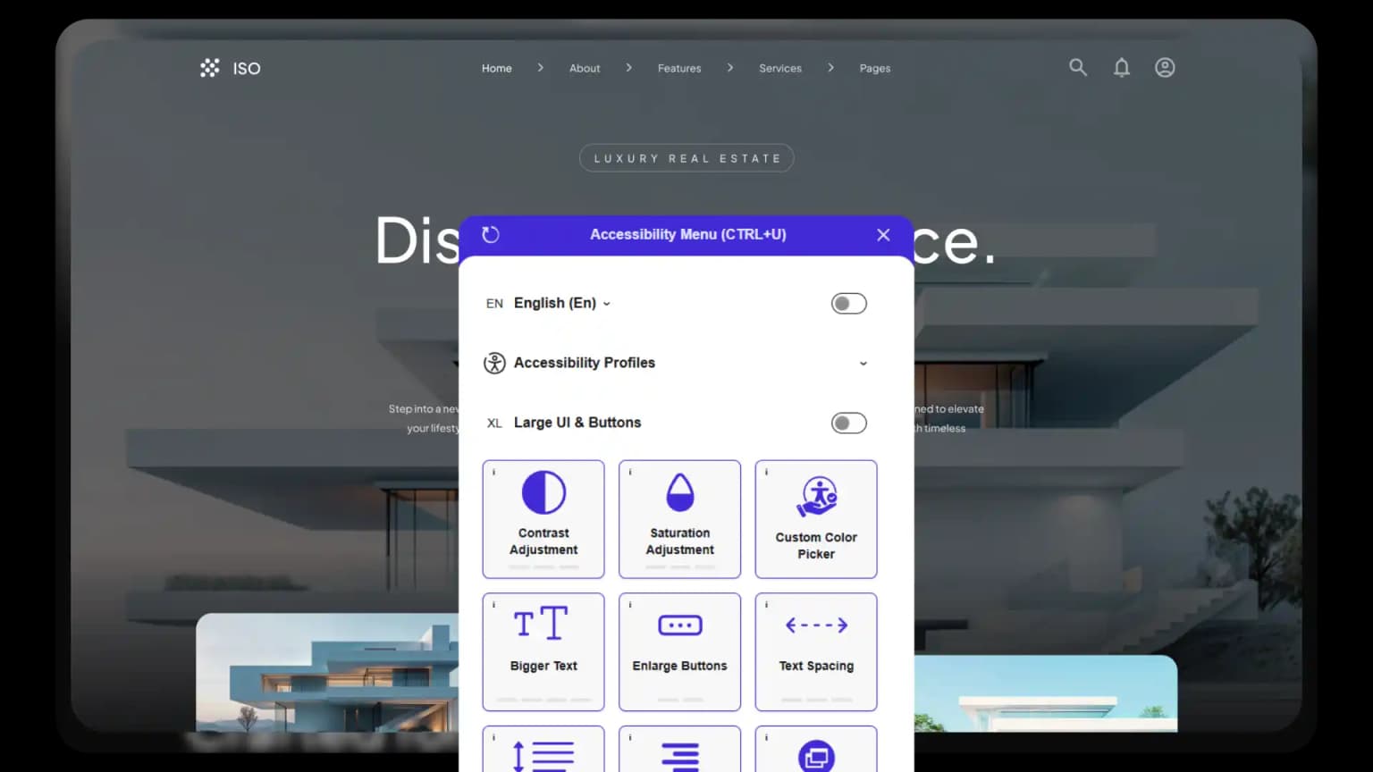  <span class='font-bold text-primary'> Accessibility widget</span>